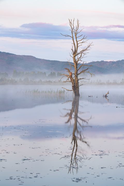 Loch Mallachie