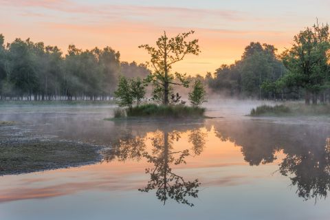 Kleurrijk eiland