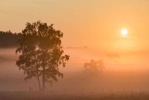 Mistige zonsopkomst in de Teut