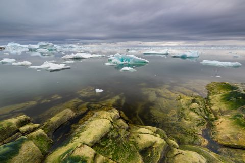Kust van Ilulissat