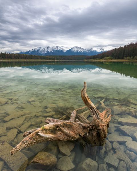 Patricia lake