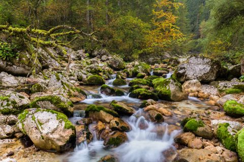 Rotsige rivier