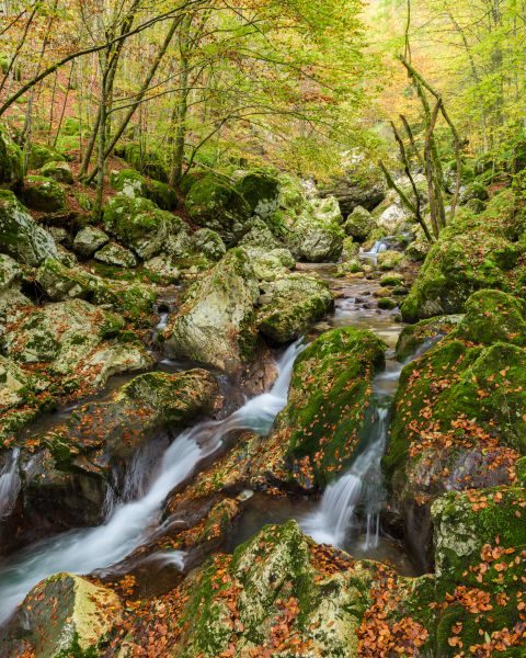 Herfstige rivier
