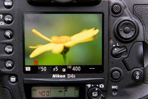 Camera met live view