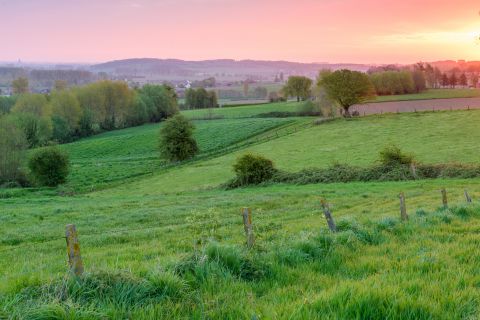 Zonsopgang aan de Oude Kwaremont