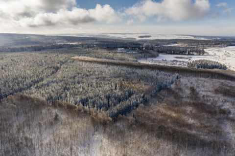 Brackvenn vanuit de lucht