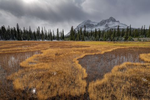 Mount Jimmy Simpson