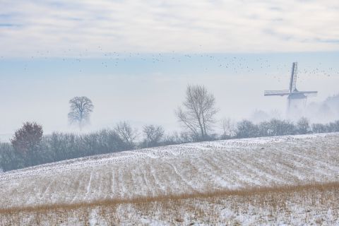 Molen Ter Hengst in de sneeuw