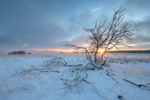 Baraque Michel in de winter