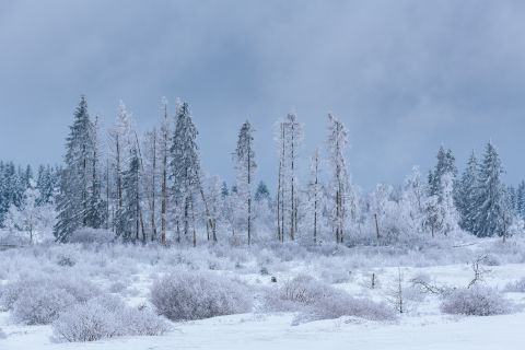 Baraque Michel in de winter