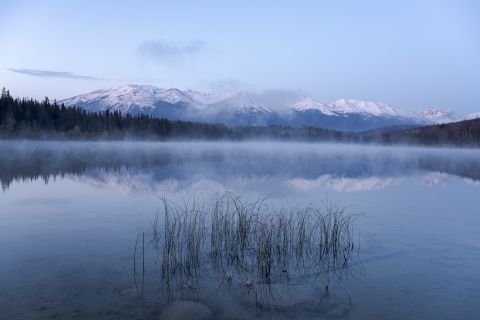 Patricia Lake