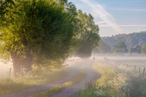 Wandelaar in de mist
