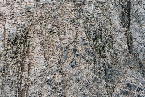 Zeevogelkolonie op Rubini Rock