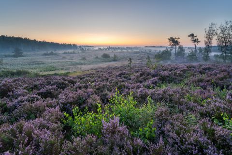 Vallei van de Ziepbeek