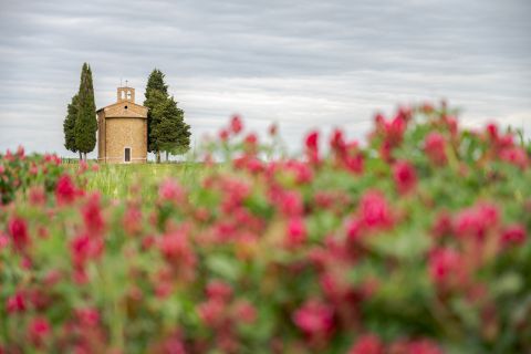 Cappella di Vitaleta tussen de rode klaver