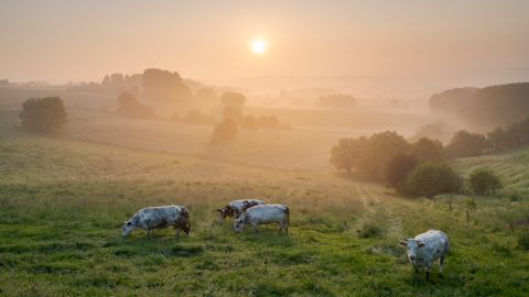 Pays des Collines
