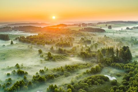Dardennen: een ontdekkingstocht door de groenste regio in ons land