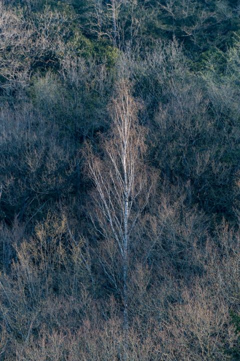 Berk | Dourbes, Namen