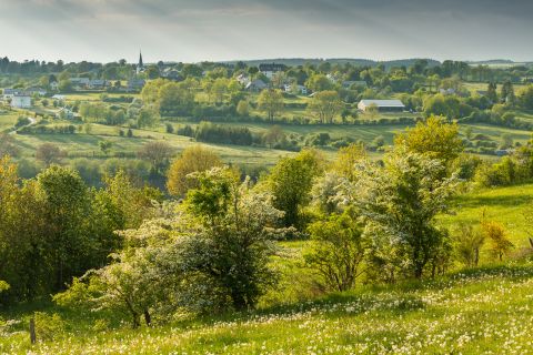 Lenteavond in de Eifel | Büllingen, Luik