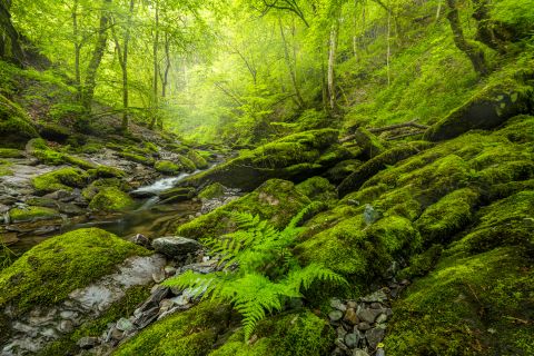 Warche | Waimes, Luik