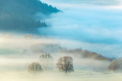 Mistige vallei | Bouillon, Luxemburg