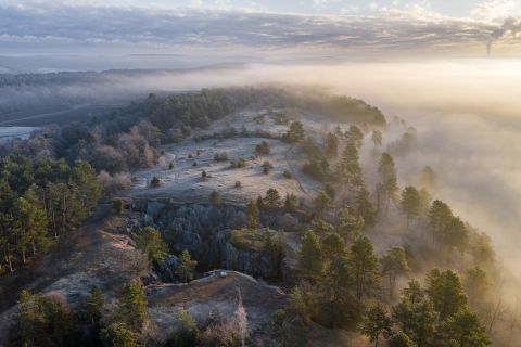Fondri des Chiens vanuit de lucht