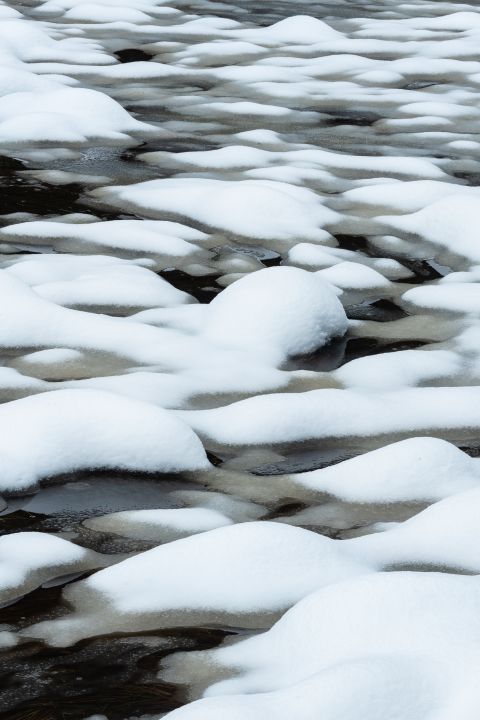 Sneeuwpatronen - Sourbrodt, België