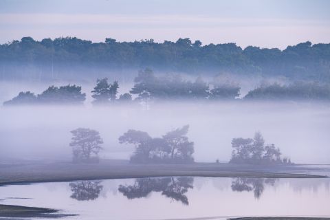 Stappersven - Kalmthout, België