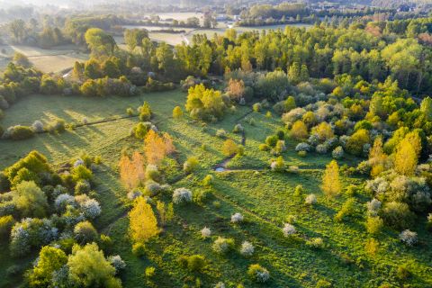 Pikhakendonk - Bonheiden, België