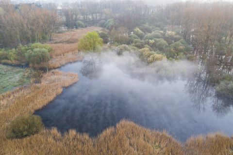 Molsbroek - Lokeren, België