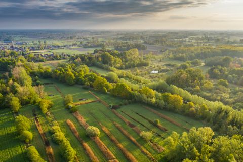 Daknamse meersen - Daknam, België