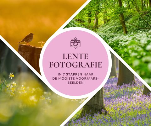 Lentefotografie: in 7 stappen naar de mooiste voorjaarsbeelden