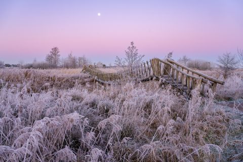 Hageven in de winter