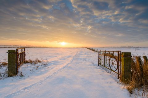 Handzamevallei bij zonsopgang