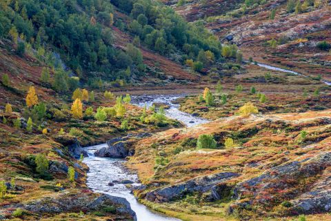 Rivier in de herfst