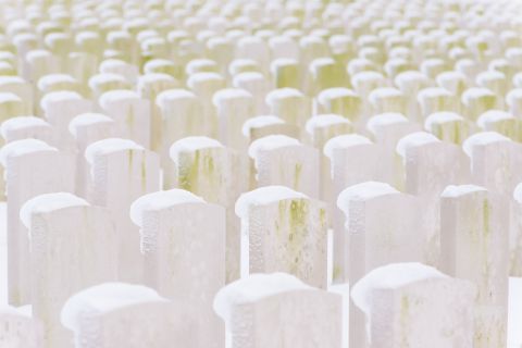 Talloze graven