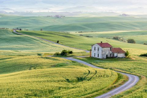 Lenteochtend in de Val d'Orcia