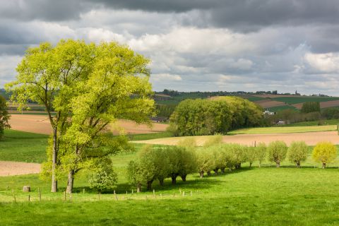 Dramatische lucht boven het platteland