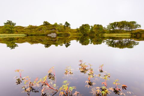 Abstracte foto van een ven