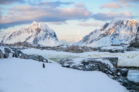 Maan boven Petermann Island - Antarctisch Schiereiland
