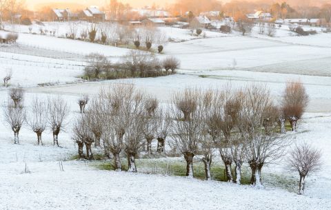 Taaienberg in de winter
