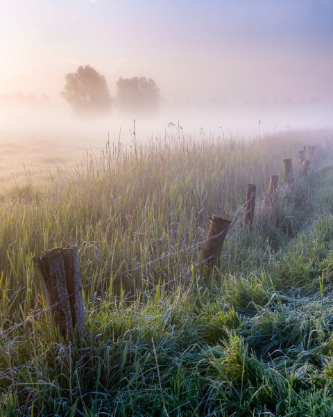 Mooie lenteochtend