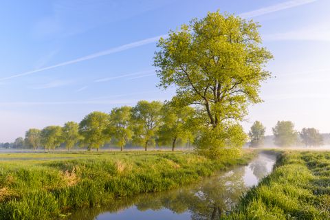 Langemeersen tijdens de lente