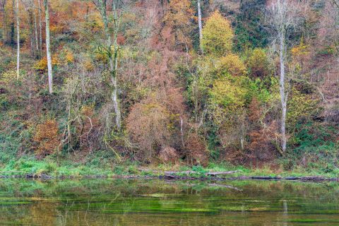 Herfstkleuren langs de Semois