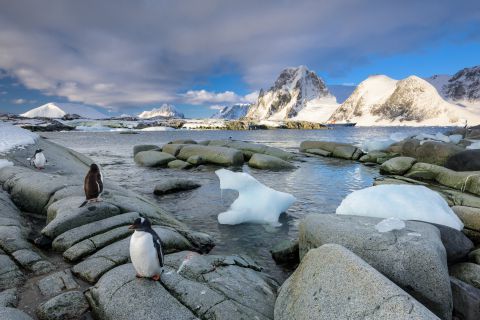 Petermann Island