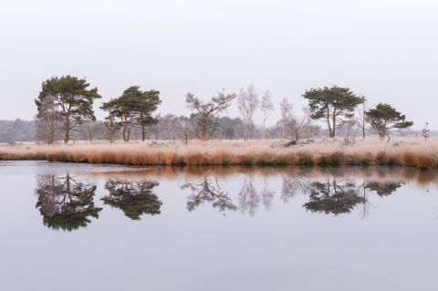 Winterse Putse Moer