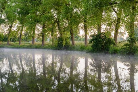 Bomen reflecteren in oude Scheldearm