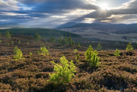 Uitzicht op de Cairngorms