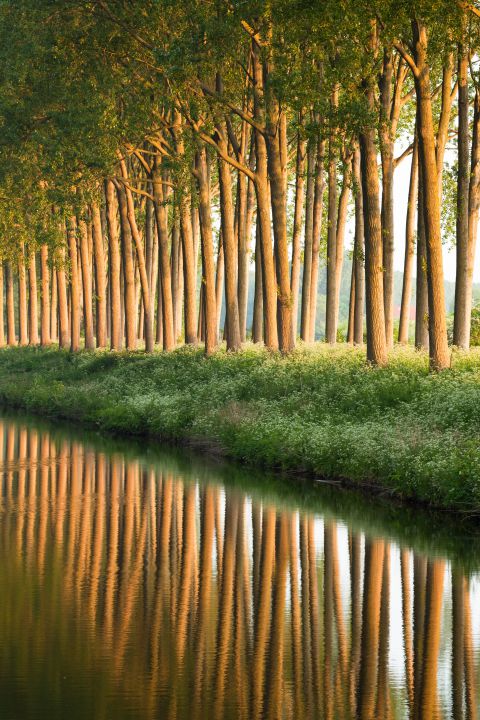 Damse vaart bij ochtend