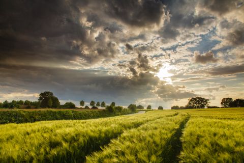 Voorbijtrekkend onweer